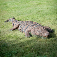 Wildcrete Crocodile